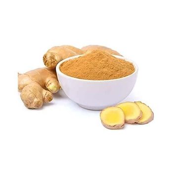 Ginger powder available in bulk for global spice and seasoning suppliers - Mundus Exports Pty Ltd - South Africa