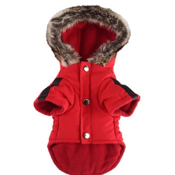New Style Popular Dog Cloth Chest with Buckle Open and Close Pet Dogs Clothing for Dogs Outdoors Training - Fuzhou Jollyyou Apparel Company., Ltd. - China