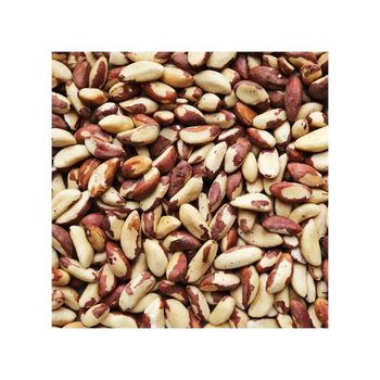 Brazilian nuts bulk supply wholesale cheap price premium quality - AFRIVET TRADING SERVICES - South Africa