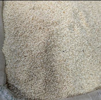 Sesame seeds - NiTrade Sourcing - Nigeria