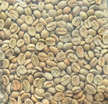 Good cup 14/16 cerrado Brazil Minas Gerais, june 2026. Avaible in Canada - IMPORTATION CAFETERO CORP - Canada