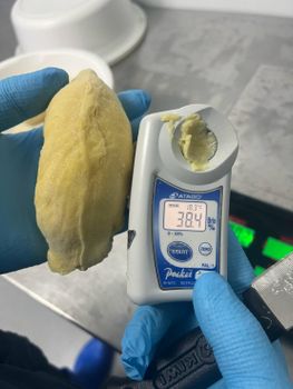 Frozen Durian pack in bulk or individual from NFF CO.,LTD. Frozen Durian pack in bulk or individual - NFF CO.,LTD. - Thailand