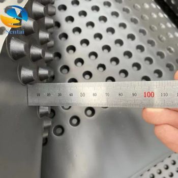 8mm-40mm HDPE Dimple Height Roof Garden Drainage Board for Other Earthwork Product Garage Roof Waterproofing, Roof Drainage Filter Layer - Dezhou Sentai Environmental Technology Company Limited - China