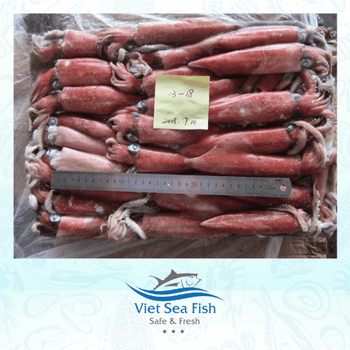 Frozen Squid (Loligo) WR Net Weight 16-20 Kgs/carton Minimum Order Quantity 10 Tons Packing Weight 16-20 Kgs/block - Viet Sea Fish Ltd., Co. - Vietnam