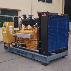 160kw Biogas CHP System with Integrated Desulfurization - Continuous Power From Poultry Manure & Sewage (400V/50Hz) - King Genset Company Limited - China