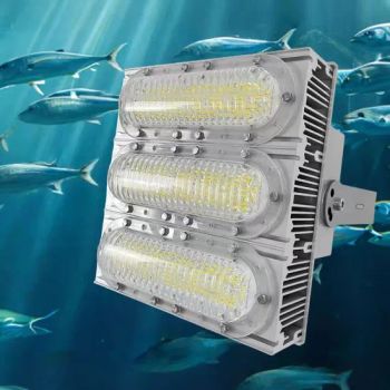 1000W Cyan Waterproof LED Fishing Lights Night Lamp for Ocean Attract Squid - B&D OPTOELECTRONICS TECHNOLOGY CO.,LTD. FUJIAN - China