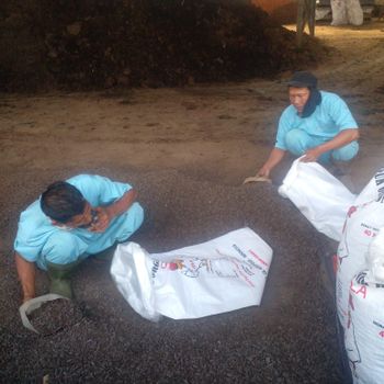 Organic Fertilizer from chicken manure from PT Nusantara Djaya Global Organic Fertilizer from chicken manure - PT Nusantara Djaya Global - Indonesia