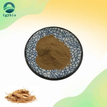 Natural Panax Ginseng Root Extract Powder Ginseng Root Extract - Xi'an Tian Guangyuan Biotech Co., Ltd. - China