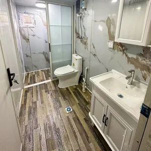 Customized Mobile Prefabricated Container Van Portable Prefab House Container House for Shop - Qingdao Cosmo Technology Co., Ltd - China