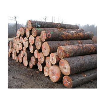 Hard Wood Round Logs Original Quality Supplier from SuMa Wasserbetten GmbH Hard Wood Round Logs Original Quality Supplier - SuMa Wasserbetten GmbH - Germany