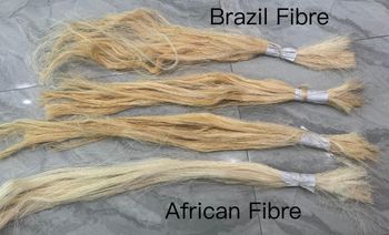 100% Natural Biodegradable Sisal Fiber – Sustainable Industrial Raw Material for Spinning, Weaving, Fabric Processing, Packaging Twine, and Heavy-Duty Rope Production - Nedvixs Company Limited - Kenya