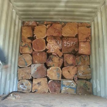 Vaneer White oak logs for timber from FIREWOOD BEECH ASH OAK LIMITED Vaneer White oak logs for timber - FIREWOOD BEECH ASH OAK LIMITED - Bulgaria