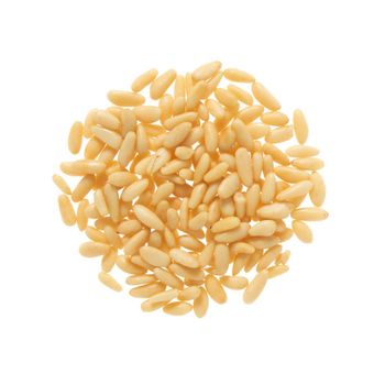 Premium Quality Raw Pine Nuts Bulk Sale Healthy Snack Natural Wholesale - AGRO AFRIQUE COMPANY LIMITED - Tanzania