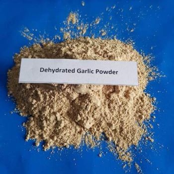 Dehydrated Garlic Powder Type Powder Max. Moisture (%) 6 Grade A and B Grade Shelf Life 12 Months Place of Origin India Foreign Matter Absent - VH Global Export - India