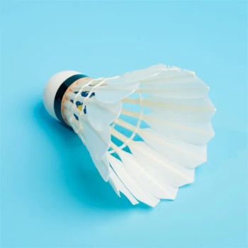 Natural Duck Badminton Feather Shuttlecock Badminton Shuttlecock - ANHUI TINGCHENG IMP & EXP TRADE CO., LTD. - China