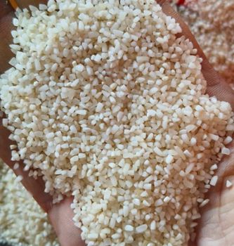100% broken rice (Sona Massori) - MOGSHA GLOBAL PRIVATE LIMITED - India