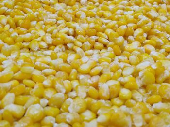 FROZEN SWEET CORN Origin India Packing Standard 30 Kg Bag, It Will Be Customised - Uppin Food Products - India
