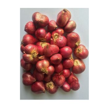 Best Quality Fresh Style Natural Color Round Shape 3 Months Shelf Life Indonesian Fresh Shallot Organic Cultivation - PT Rezeki Bumi Perkasa - Indonesia