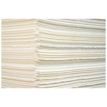 High Quality Bleached Hardwood Kraft Pulp Virgin and Recycled Styles Online Sale from MFD AGRICULTURE LTD High Quality Bleached Hardwood Kraft Pulp Virgin and Recycled Styles Online Sale - MFD AGRICULTURE LTD - United Kingdom