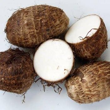 New Crop Fresh Taro Factory Price Hot Sale Fresh Taro From China Farm Cheap Price/Wholesale fresh taro export fresh packed taro +255787979235 - AL JABLI TRADING COMPANY LIMITED - Tanzania
