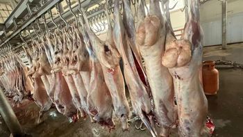 Tanzanian mutton meat - TL GENERAL TRADING LLC - United Arab Emirates