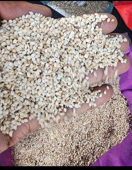 sesame seed from Keji agro sesame seed – product photo, Black Sesame Seed products found from trusted suppliers, wholesalers, manufacturers & exporters Listing