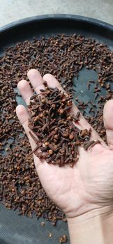 Cloves Ab6 - PT. Trijaya Natural Indo - Indonesia