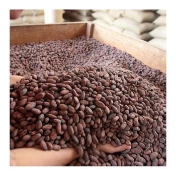 High Grade Peruvian Hot Sale Cheap Bulk Natural and Dried Cacao Cocoa Beans From Peru - EcoRoma GmbH - Germany