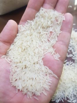 C-9 Parboiled Rice - RA INTERNATIONAL KARACHI PAKISTAN - Pakistan