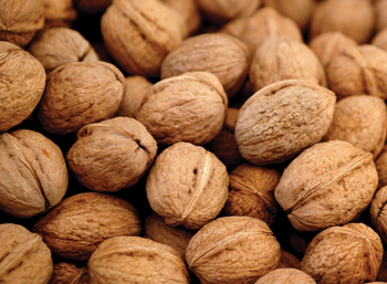 Organic Walnut For Human from BS International Organic Walnut For Human - BS International - India
