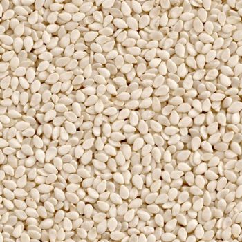 Sun Dried Sesame Seed Bulk Export With Careful Quality Inspection Sesame Seed Delivered In Secure Packaging - AGRO AFRIQUE COMPANY LIMITED - Tanzania