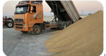 Medium Grain White Rice Features Vegan Traceability Full Traceability Intended Use Industrial Processing Quality Controls European Quality - Mpatsiolas IKE - Greece
