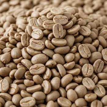 Factory Price Robusta & Arabic Arabica Coffee Beans Organic Premium Grade Medium Dark Roasted Big Size Sale - AGRONOVA - United States