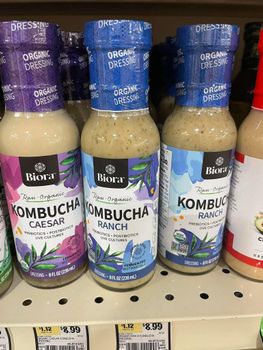 Kombucha Tea from BF GLOBAL TRADING (PTY) LTD Kombucha Tea - BF GLOBAL TRADING (PTY) LTD - South Africa