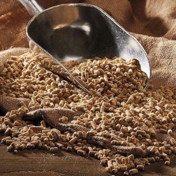 Wood Pellets Produced From Premium Natural Timber For Eco Friendly Heating Excellent Quality Wholesale from Smart Agri GmbH Wood Pellets Produced From Premium Natural Timber For Eco Friendly Heating Excellent Quality Wholesale - Smart Agri GmbH - Germany