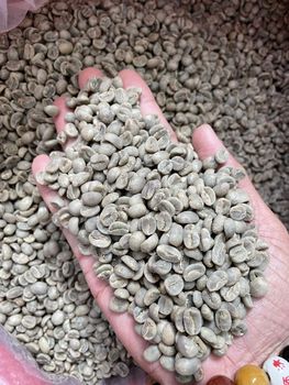 Coffee - NBT413 COFFEE CO., LTD - Vietnam