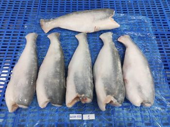 Frozen Pangasius HGT (headed, Gutted, Tail off) Size 1000g+ Origin Vietnam Form Whole fish Delivery Form Container Features No Preservatives - FATIFISH COMPANY LIMITED - Vietnam