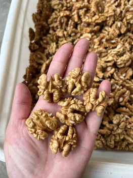 China Walnuts Supplier | 185 / Xin2 / 33 / Yunnan In-shell Walnuts & Walnut Kernels Wholesale from Shandong Taifeng Commercial Group Co.,Ltd China Walnuts Supplier | 185 / Xin2 / 33 / Yunnan In-shell Walnuts & Walnut Kernels Wholesale - Shandong Taifeng Commercial Group Co.,Ltd - China