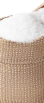 OEM Granulated Sugar ( ICUMSA 45 Standard ) - Ocean Trading & Logistics Co. - United Arab Emirates