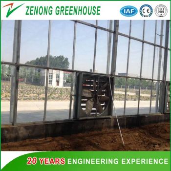 Centrifugal Heavy Hammer Exhaust Fan for Poultry Farm and Greenhouse - Shouguang Zenong Greenhouse Engineering Co., Ltd. - China