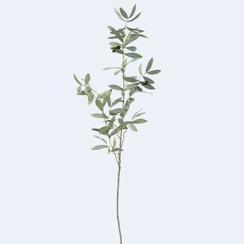 Wholesale Greenery Artificial Plants for Indoor Olive Tree Branches for Home Decor - Shenzhen Fayfun Crafts Co., Ltd. - China
