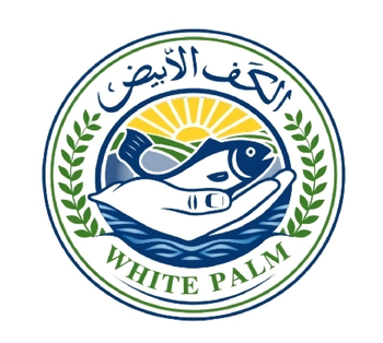 Product - White palm for exporting local products - Yemen