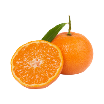 Premium Fresh Mandarin Oranges Sweet Juicy Natural Farm Grown Citrus Fruit High Quality Healthy Snack Rich Flavor - TRADECENTRIC LLC - United States