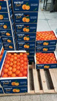 Clementine - YKfrut - Morocco
