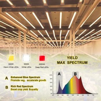 LED Board Best Selling Meijiu Qb288 V3 240W Red LED Grow Lights Samsung Lm301b Lm301h with IR 660nm LEDs - Wuxi Zewo Special Steel Co., Ltd. - China