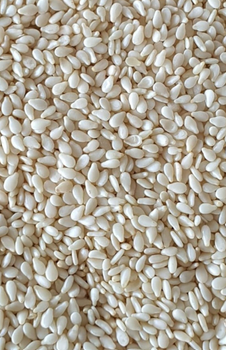 Sesame seeds Organic Yes Features Peeled Origin Worldwide Packaging Size 25kg Variety White Sesame Processing Method Machine-sorted - Bountymart - Nigeria