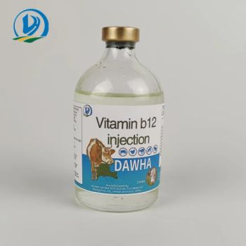 Veterinary Injection Vitamin B12 Injection Vitaminb12 50ml/100ml GMP Cetificated Western Medicine - Henan Chuangxin Biological Technology Co., Ltd. - China