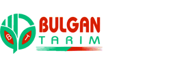 Product from BULGAN TARIM TİCARETSANAYİ İTHALAT İHRACAT LTD Product – product photo, Apple Rice Cakes products found from trusted suppliers, wholesalers, manufacturers & exporters Listing
