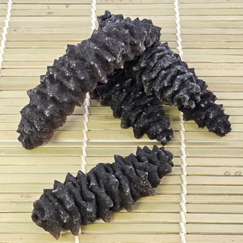 Buy Top Quality Frozen Sand Fish Sea Cucumber Dried Sea Cucumber Food & Beverage Seafood Cucumber Cheap Price - JMB  - Canada