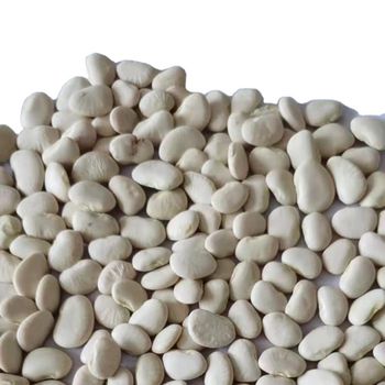 Factory Wholesale High Protein 25kg 50kg Bag White Bean Baifeng Kidney Bean Butter Bean - Hebei Nihewan Agricultural Development Co., Ltd. - China